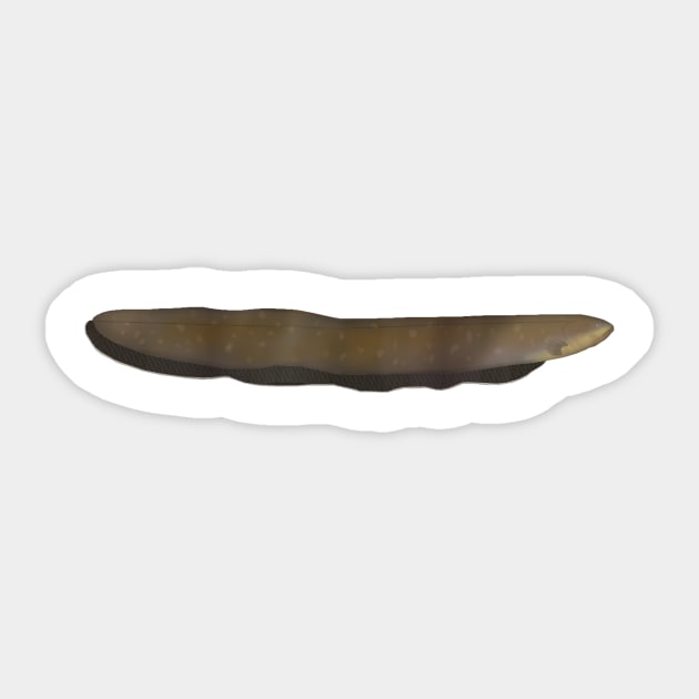 Electric Eel Sticker by FishFolkArt